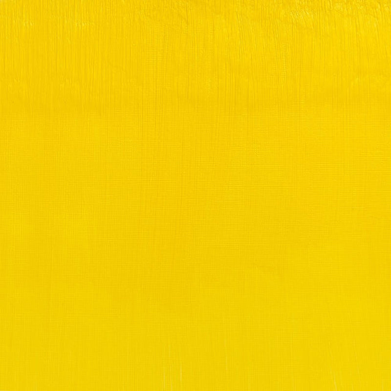 Winsor & Newton Artists' Oil Paint