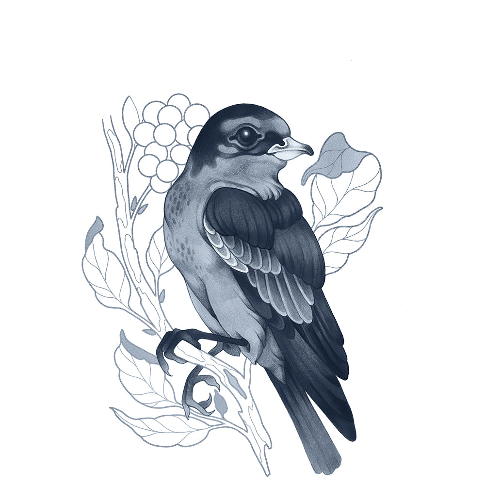 Copic Ciao SHADE Dark Cool Gray Markers Set, 4 pcs.