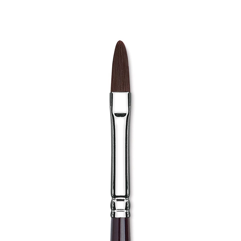 Winsor & Newton Galeria Filbert Brush