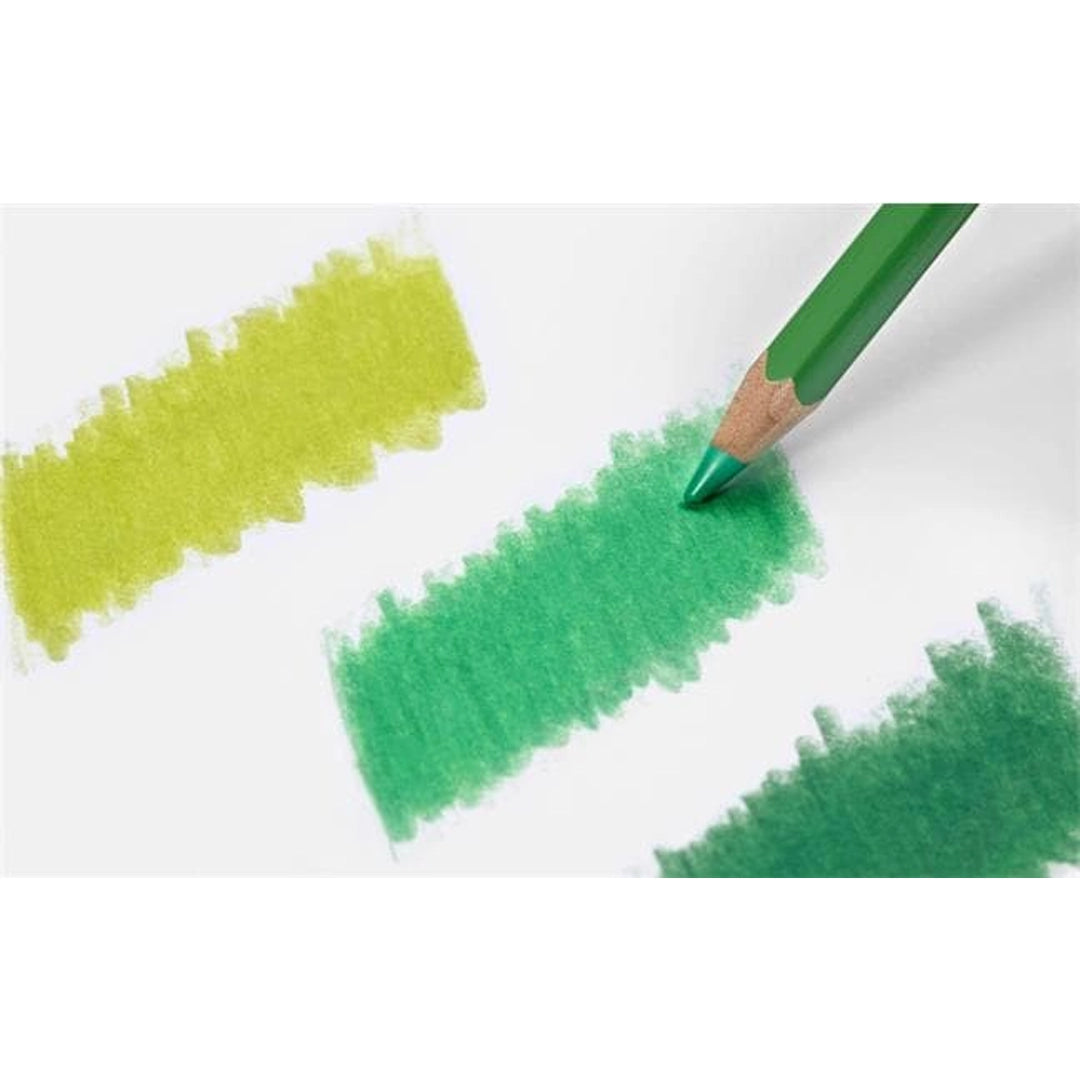 Caran d'Ache PABLO Colored Pencils Set of 12