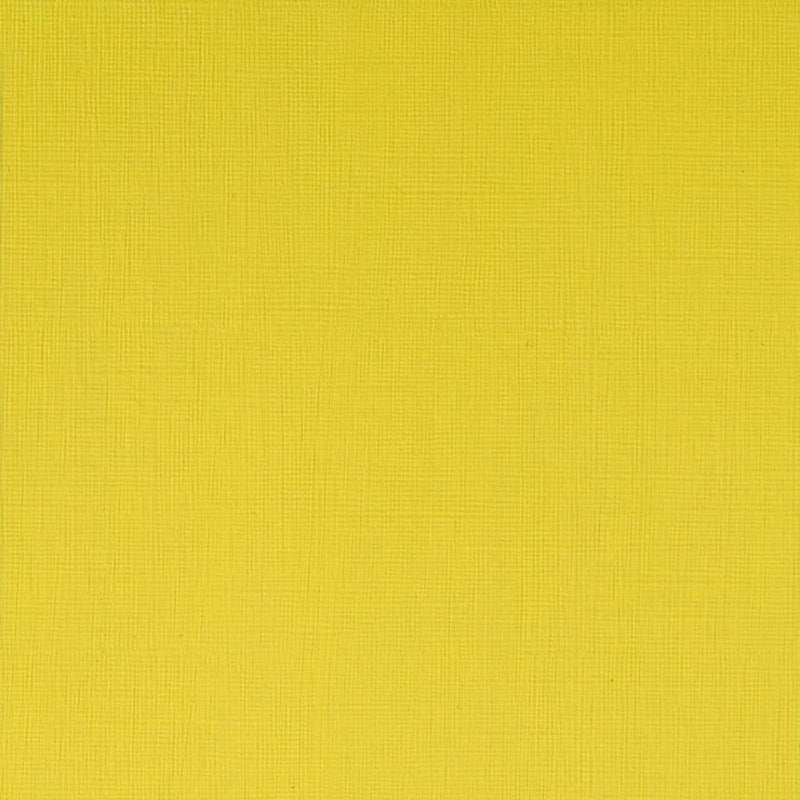 Winsor & Newton Professional Acrylic Paint