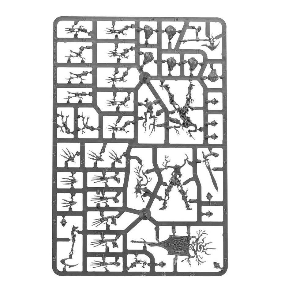 Warhammer Age of Sigmar Spearhead: Sylvaneth Miniature Set