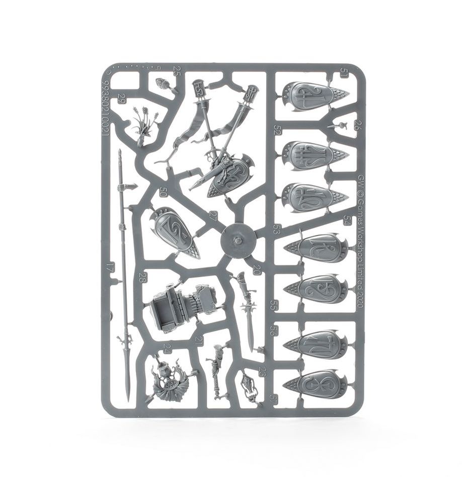 Warhammer Age of Sigmar: Vanari Auralan Wardens Miniature Set