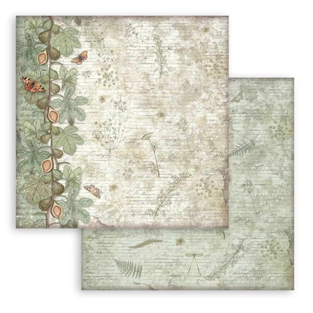 Stamperia Double-Sided Scrapbooking Paper Set - Herbarium Silvae Backgrounds Selection, 10 units
