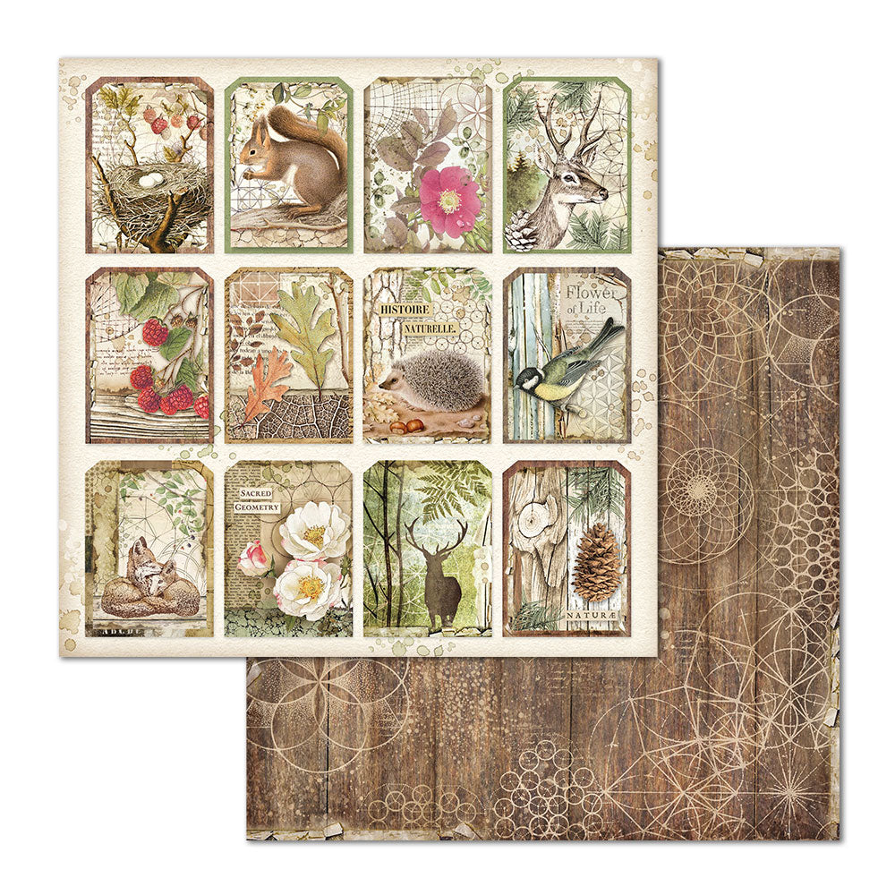 Stamperia Double-Sided Scrapbooking Paper Set - Forest, 10 units