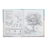 The Complete Beginner's Guide to Drawing – Walter Foster Creative Team, Walter Foster Publishing