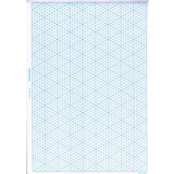 Hahnemühle Isometric Paper Pad, 50 Sheets, 80 gsm