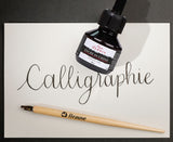 Jacques Herbin Indian Ink (China Ink)