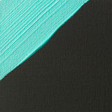 Liquitex Professional Black Gesso Primer