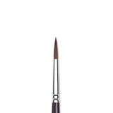 Winsor & Newton Galeria Round Brush