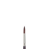 Winsor & Newton Galeria Round Brush