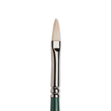 Winsor & Newton Winton Hog Filbert Brush