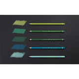 Caran d'Ache PABLO Colored Pencils Set of 30