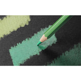 Caran d'Ache PABLO Colored Pencils Set of 40