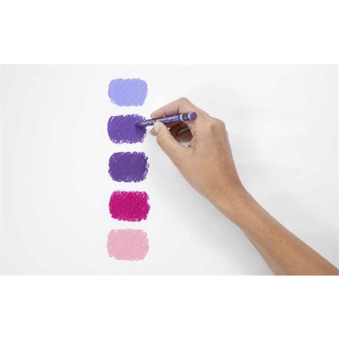 Caran d'Ache NEOCOLOR Water-Soluble Wax Oil Pastels Set of 84