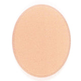 PanPastel Sofft Big Oval Sponge