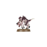 Warhammer 40,000 Ultimate Starter Set