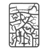 Warhammer Age of Sigmar Spearhead: Sylvaneth Miniature Set