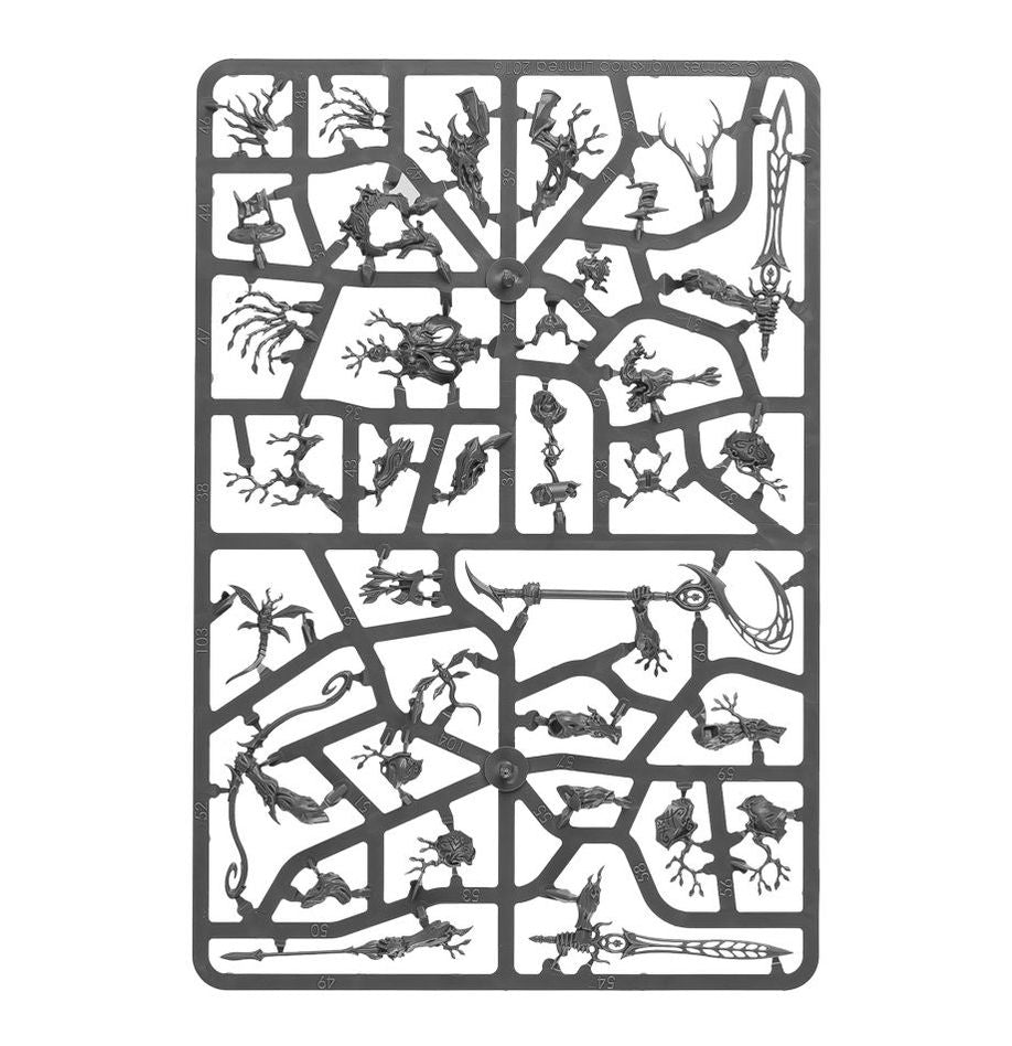 Warhammer Age of Sigmar Spearhead: Sylvaneth Miniature Set