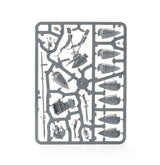 Warhammer Age of Sigmar: Vanari Auralan Wardens Miniature Set