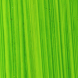Michael Harding Oil Paint, Colours 1-55 (Part 1/2)