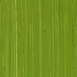 Michael Harding Oil Paint, Colours 1-62 (Part 1/2)