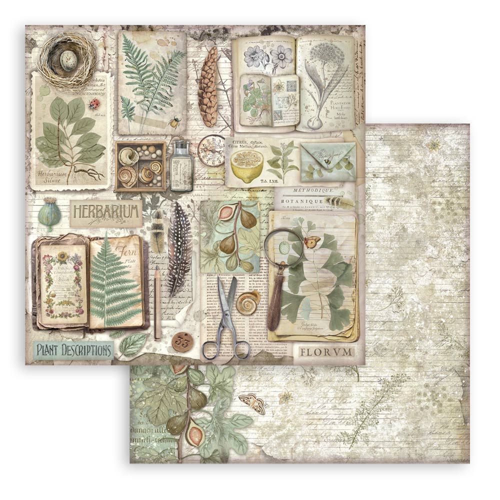 Stamperia Double-Sided Scrapbooking Paper Set - Herbarium Silvae,  10 units